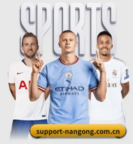 support-nangong.com.cn五大内容板块,覆盖赛事直播与实时比分